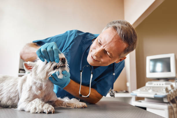 Best Emergency Tooth Extraction in Jeffersontown, KY
